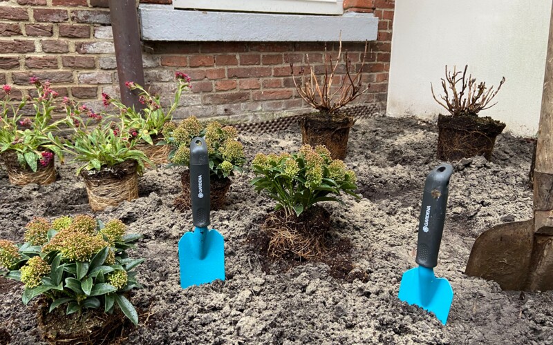 Blumenpflanzaktion Umwelt AG Bödiker Oberschule